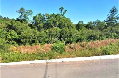 Terreno à venda na Rua Desidério Bellé, Lote 90, Santo Antão, Bento Gonçalves