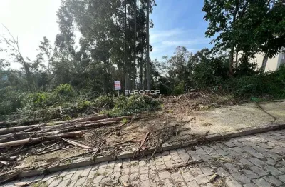 Terreno à venda na Rua Alfredo Francisco Giacomello, Santo Antão, Bento Gonçalves