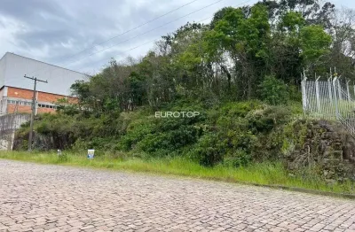 Terreno à venda na Rua Angelina Barberina Tomasi Fracalossi, 41 e 42, São Valentin, Bento Gonçalves