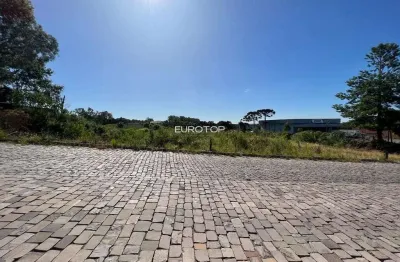 Terreno à venda na Rua Domingos De Marchi, Garibaldina, Garibaldi