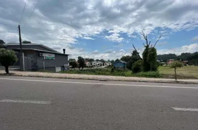 Terreno à venda na Avenida Nelson Carraro, lote 01, Santo Antão, Bento Gonçalves