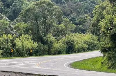 Terreno à venda na Rodovia BR-470, 3, São Vendelino, Bento Gonçalves