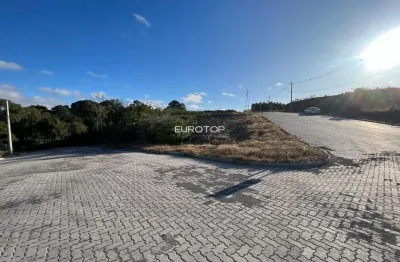 Terreno à venda na Rua José Gava, lote 20, Tamandaré, Garibaldi