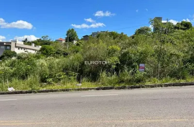 Lindo terreno com excelente topografia e localização!