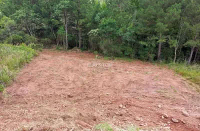 Terreno à venda na Rua Benigno Orlando Panno, Universitário, Bento Gonçalves