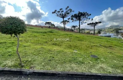Terreno em condomínio fechado à venda na Rodovia ERS-444, 17, Vale dos Vinhedos (Distrito), Bento Gonçalves