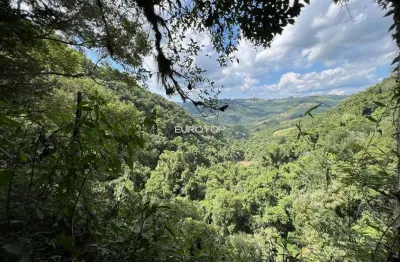Chácara / sítio à venda na Comunidade São Paulo, 12, Zona Rural, Monte Belo do Sul