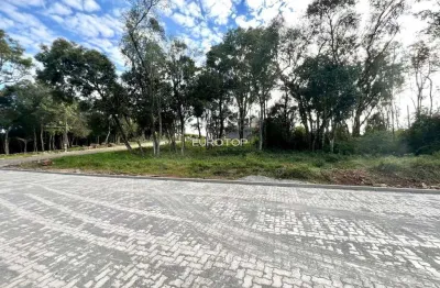 Terreno à venda na Rua Aurino Argemiro Zandonai, 200, Santa Marta, Bento Gonçalves
