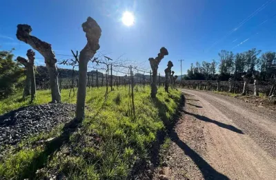 Terreno à venda na Zona Rural, Monte Belo do Sul 