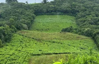Terreno à venda no São Pedro, Bento Gonçalves 