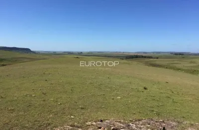 Chácara / sítio à venda no Tabatinga, Santana do Livramento 