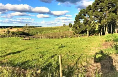 Terreno à venda no São Valentin, Bento Gonçalves 