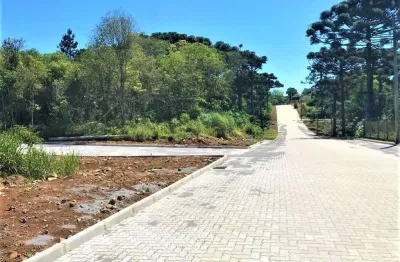 Terreno à venda no Santo Antão, Bento Gonçalves 