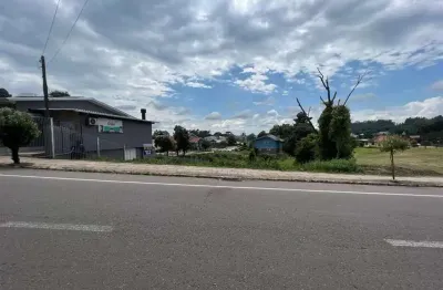 Terreno à venda no Santo Antão, Bento Gonçalves 