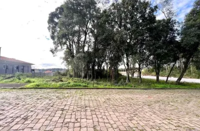 Terreno à venda no Santa Marta, Bento Gonçalves 