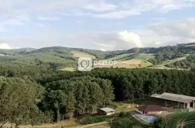 Sítio à venda em alfredo wagner - sc | nascente e açude no terreno