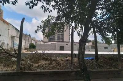 Terreno comercial para alugar na Rua Gil Vicente, Silveira, Santo André