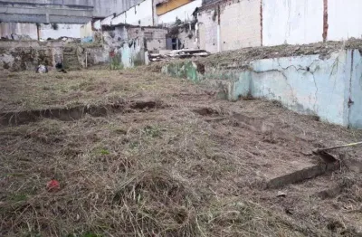 Terreno à venda, santa maria - são caetano do sul/sp