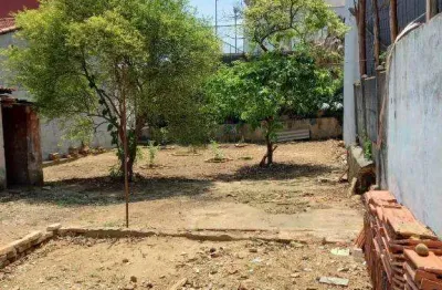 Terreno à venda, santa maria - são caetano do sul/sp