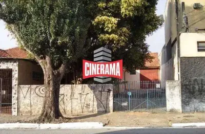 Terreno à venda, 10 vagas, vila bela - são paulo/sp