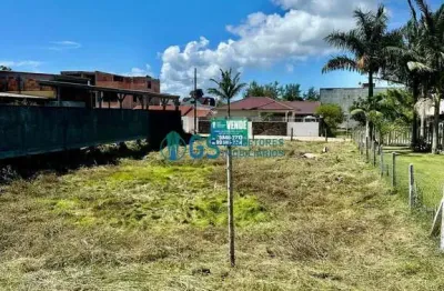 Terreno de 436 m² residencial ou comercial a venda na rod. evadio paulo broering na praia da pinheira