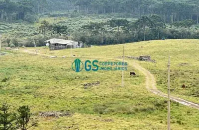 Vendo área rural, com 82 hectares em região turistica em cambará do sul rs