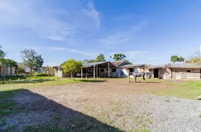 Terreno para venda em são josé dos pinhais, borda do campo