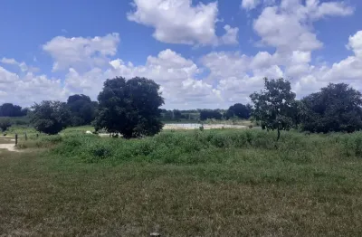 Big fazenda - plantação grande porte e energia  aeólicz
