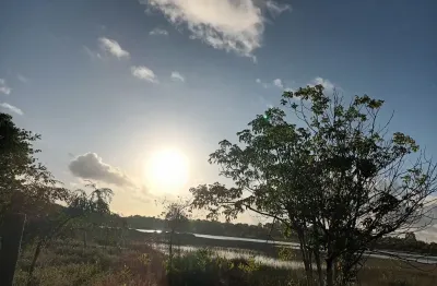 Fazenda à venda na Avenida Floriano Peixoto, 33km, Centro, Portel