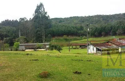 Sítio com 2 dormitórios à venda, 333960 m² por r$ 7.000.000,00 - areia branca - mandirituba/pr
