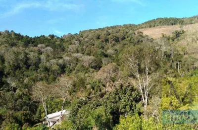 Fazenda à venda, 193600 m² por r$ 1.100.000,00 - zona rural - cruz machado/pr