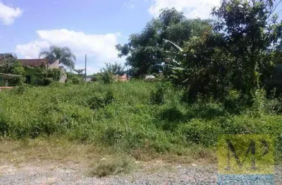 Terreno à venda, 416 m² por R$ 550.000,00 - Praia Alegre - Penha/SC