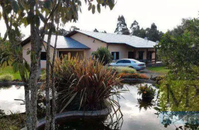 Sítio à venda, 39848 m² por r$ 1.300.000,00 - zona rural - rio negrinho/sc