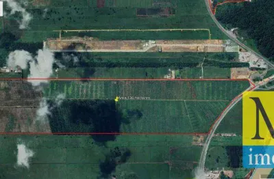 Área à venda, 1360000 m² - escalvados - navegantes/sc