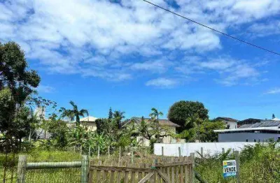 Terreno à venda, 450 m² por r$ 710.000,00 - praia grande - penha/sc