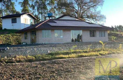 Sítio à venda, 60000 m² por R$ 3.000.000,00 - Zona Rural - São João do Itaperiú/SC