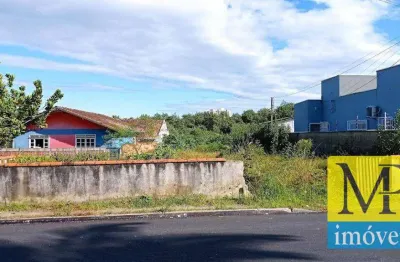 Terreno à venda na Rua Domingos Manoel Corrêa, 382, Centro, Penha