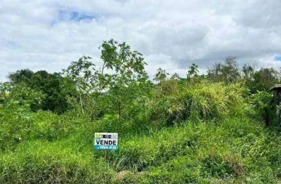 Terreno à venda na Avenida Anibal De Lara Cardoso, 1, Centro, Penha