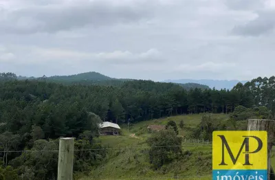 Área à venda, 2850000 m² por r$ 13.750.000,00 - são domingos - vidal ramos/sc