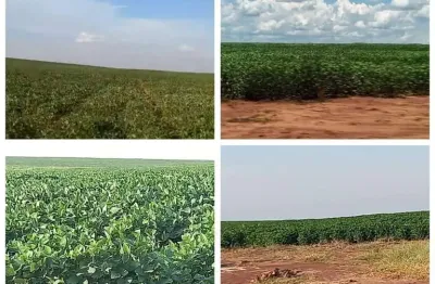 Fazenda à venda na Br-163, 222, Chácara das Mansões, Campo Grande
