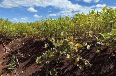 Fazenda à venda na zona rural, 222, zona rural, sidrolândia por r$ 2.950.000