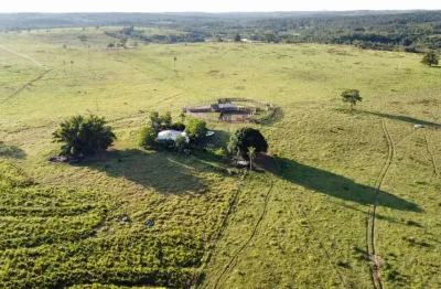 Fazenda dupla aptidão com área total de 700 hectares em camapuã