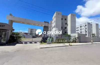 Venha conhecer o lugar perfeito para voce e seu pet chamarem de lar!