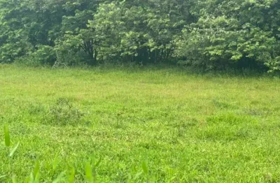 Terreno exclusivo no loteamento villa ribeirão, oportunidade imperdível!