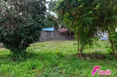 Terreno de 528m² no bairro trindade - localização privilegiada