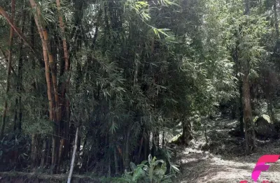 Terreno à venda na Estrada Rozália Paulina Ferreira, 2000, Armação do Pântano do Sul, Florianópolis