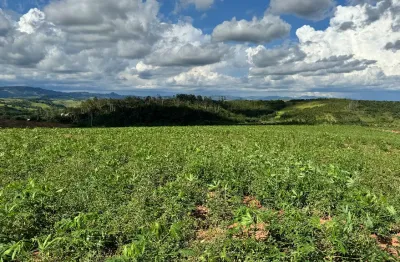 Chácara / sítio com 2 quartos à venda na Praça dos Andradas, Zona Rural, Jacutinga