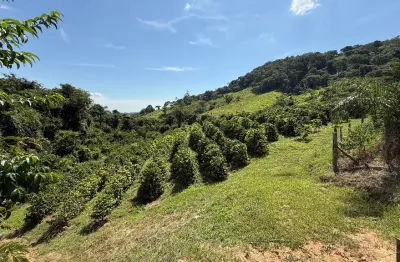 Chácara / sítio com 1 quarto à venda na Praça dos Andradas, Sapucaí, Jacutinga