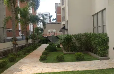 Apartamento com 3 quartos à venda em vila mascote - sp