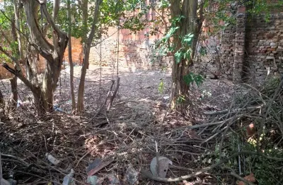 Terreno com 4 quartos à venda em cidade vargas - sp